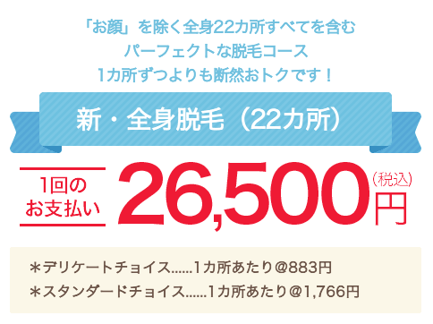 都度払い 22部位 全身脱毛 26,500円