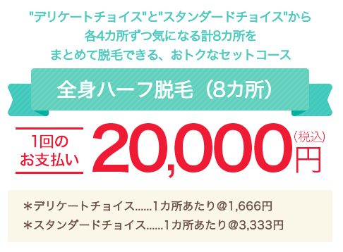 都度払い 8部位 全身ハーフ脱毛 20,000円
