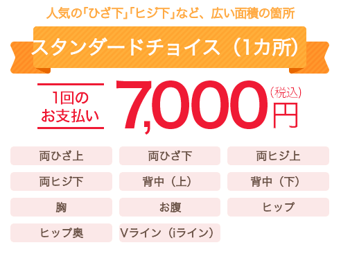 都度払い スタンダードチョイス 7,000円