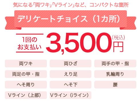 都度払い デリケートチョイス 3,500円