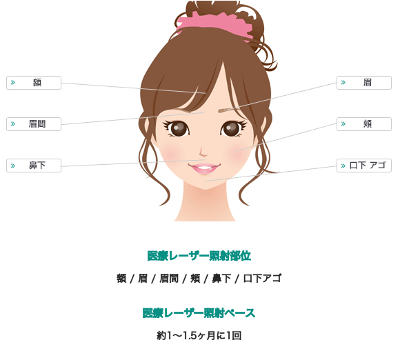 全顔プランの対象部位