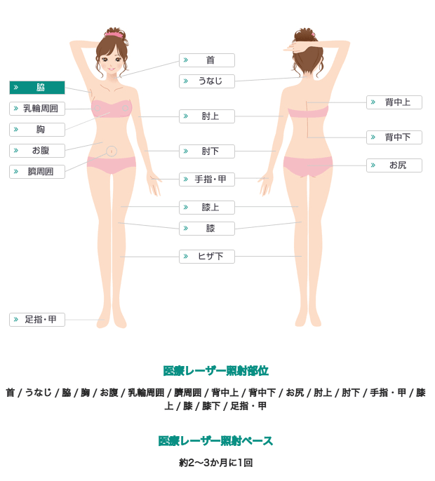 全身脱毛の対象部位