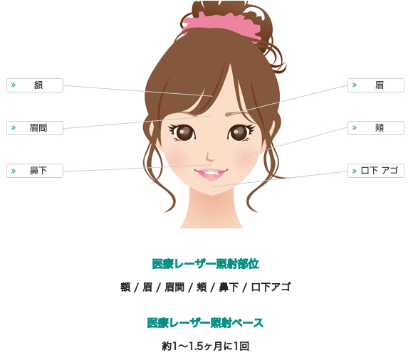 全顔プランの対象部位