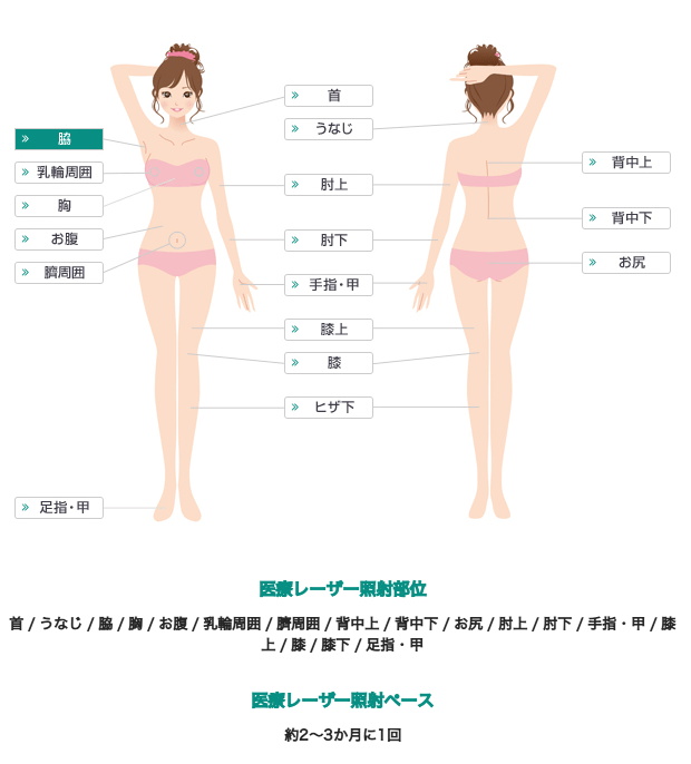 全身脱毛の対象部位
